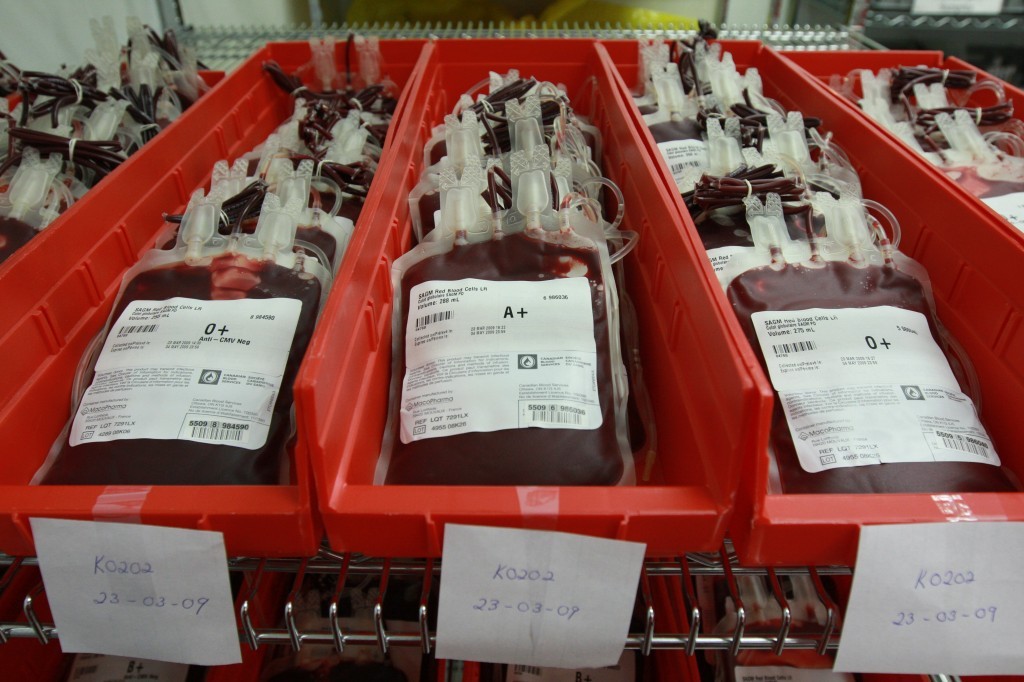 Committee Upholds Ban on Male Homosexual Blood Donors