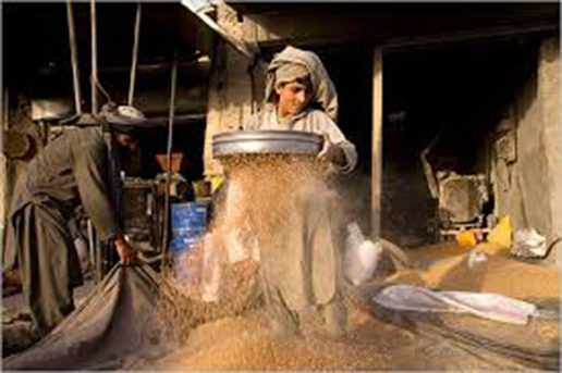 Sifting Wheat