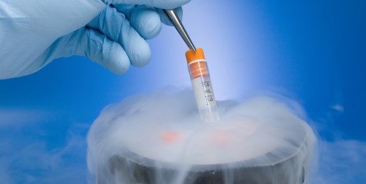 Frozen Embryos: A Matter of Life or Death