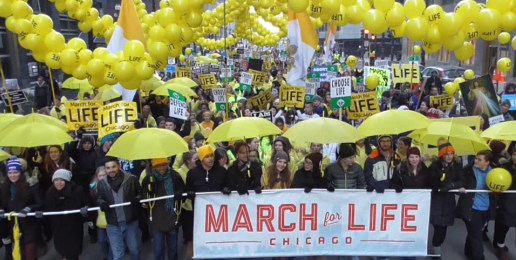 2017 March For Life Chicago