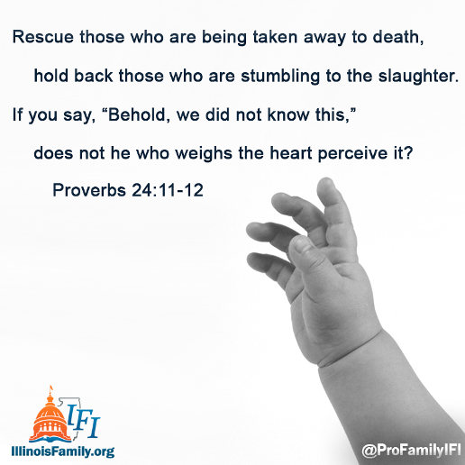 prolifeproverbs-copy