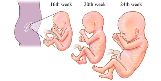 Pro-Choicers Choose Live Dismemberment