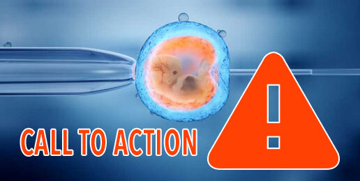 Call to Action: Stop Grisly Experiments on Human Embryos