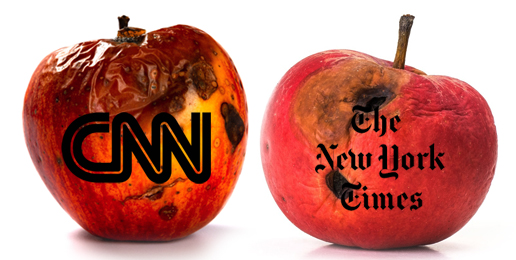 Decay of CNN & NYT Irreversibly Damaging Journalism