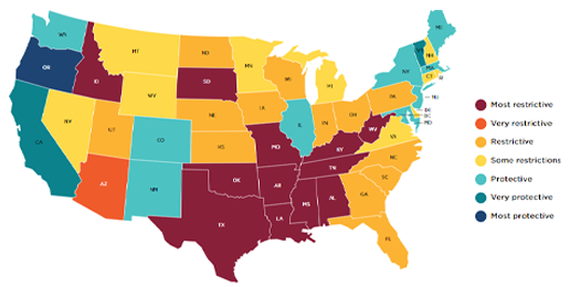 Abortion in State Constitutions