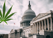 U.S. Senate Pushing Lame-Duck Cannabis Legislation