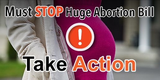 Huge Abortion Bill Being Pushed Through General Assembly