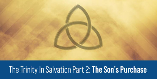 The Trinity In Salvation Part 2: The Son’s Purchase