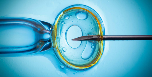 IVF Companies Depend on Abortion