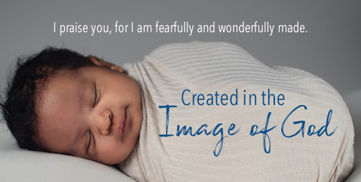 Sanctity of Human Life Sunday