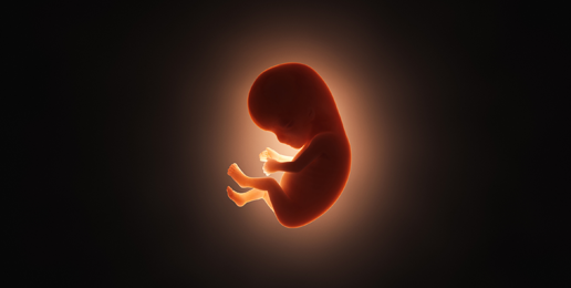 Alabama Court Correctly Rules That Frozen Embryos Are Children