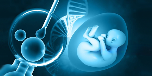 Frozen Embryos: Imago Dei