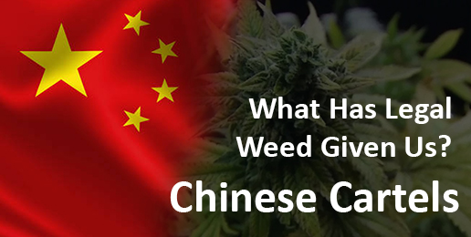 What Has Legal Weed Brought Us? And The Answer Is Chinese Cartels!