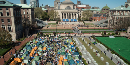 Hidden Hand Behind Protests on Campuses: Who… and Why?