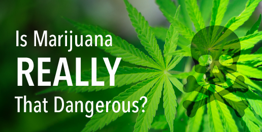 Is Marijuana Really That Dangerous?