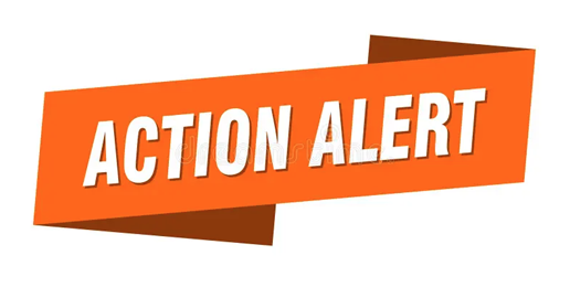 Please Take Action on These Bills