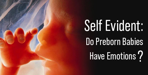 Self Evident: Do Preborn Babies Have Emotions?