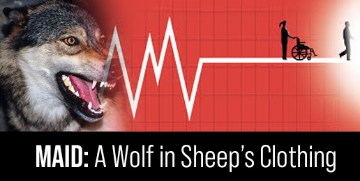 MAID: A Wolf in Sheep’s Clothing