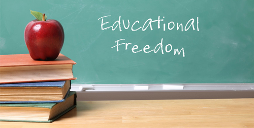 Expanding School Choice Through Government?