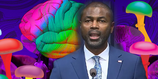 Psychedelic “Magic” Mushroom Mayhem