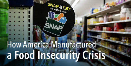 The Hunger Industrial Complex: How America Manufactured a Food Insecurity Crisis