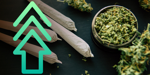 Marijuana Use Rising — But Treatment Falling