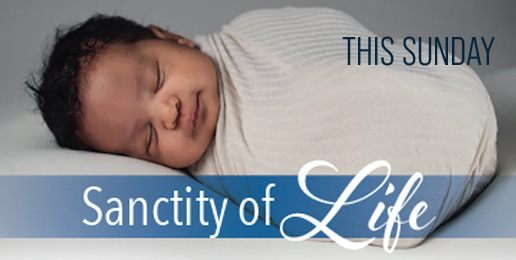 Sanctity of Human Life Sunday
