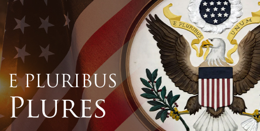 E Pluribus Plures