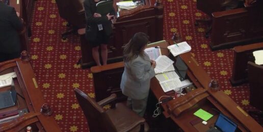 Senators Tracy & Bryant Challenge DCFS Expansion & Gender Policies