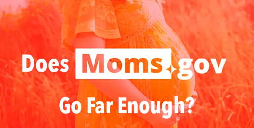 Does Moms.gov Go Far Enough?