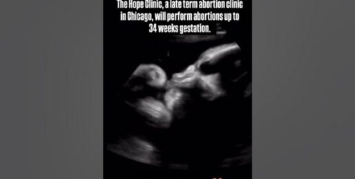 End. Abortion. Now. #shorts